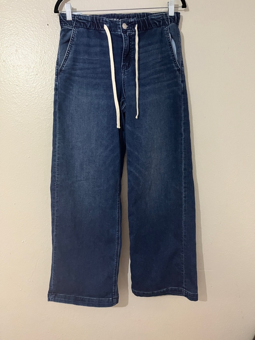 American Eagle Low Rise Baggy Wide Leg Jeans